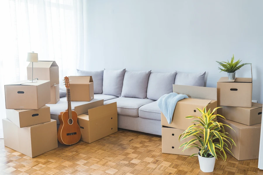 Professional Home Cleaner in Spring, TX Professional Home Cleaner in Spring, TX